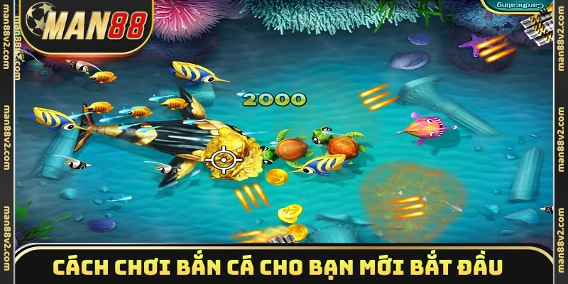 Cách chơi bắn cá cho bạn mới bắt đầu