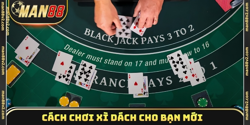 Cách chơi xì dách cho bạn mới