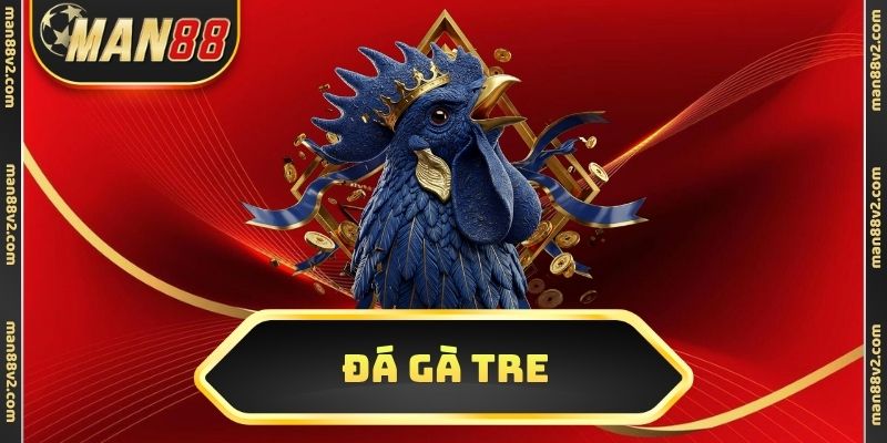 Đá gà tre