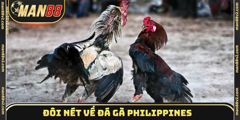 Đôi nét về đá gà Philippines