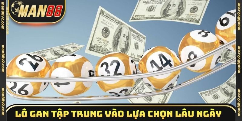Lô gan tập trung vào lựa chọn ngâm lâu ngày