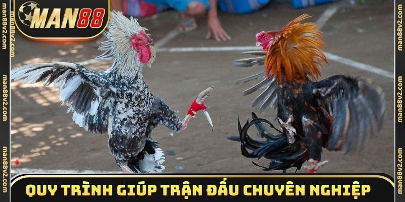 Quy trình giúp trận đấu diễn ra chuyên nghiệp