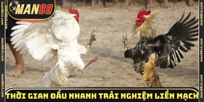 Thời gian thi đấu nhanh giúp trải nghiệm liền mạch