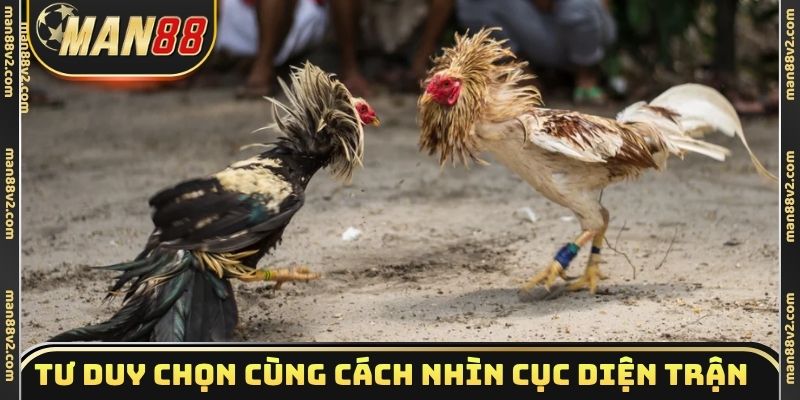 Tư duy chọn gà tre cùng cách nhìn cục diện trận